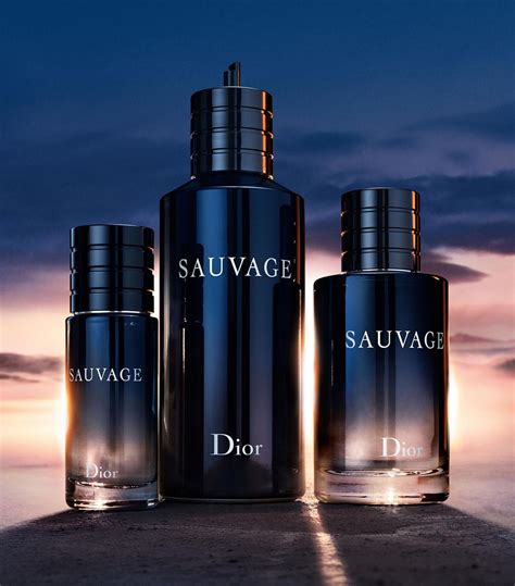 prezzo eau sauvage dior 100 ml|sauvage parfum best price.